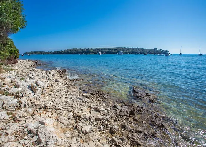 Mobile Homes Pine Sea Kamp