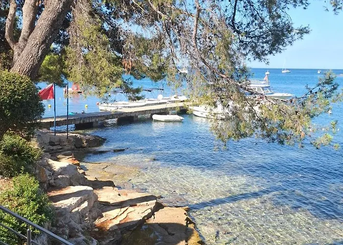 Mobile Homes Pine Sea Kamp