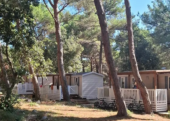 Mobile Homes Pine Sea キャンプ場 *