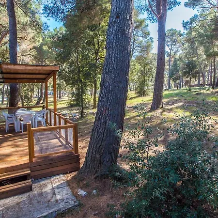Mobile Homes Pine Sea