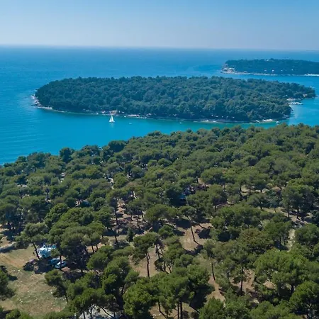 Campsite Mobile Homes Pine Sea
