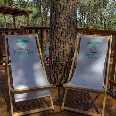 Campsite Mobile Homes Pine Sea Banjole