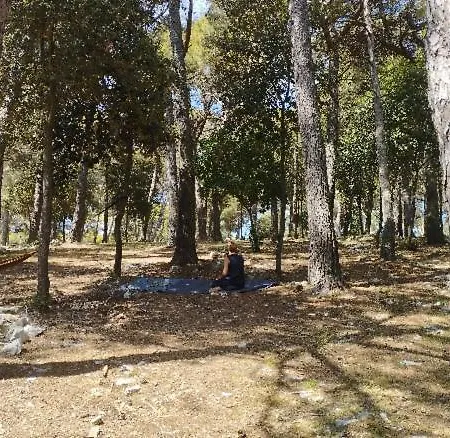 Mobile Homes Pine Sea Campsite *