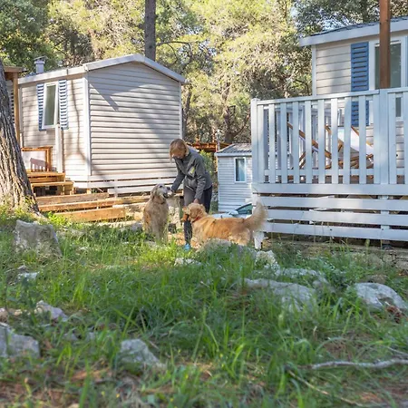 Mobile Homes Pine Sea