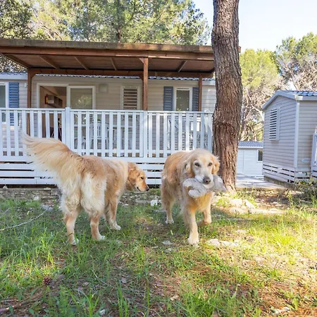 Mobile Homes Pine Sea Camping