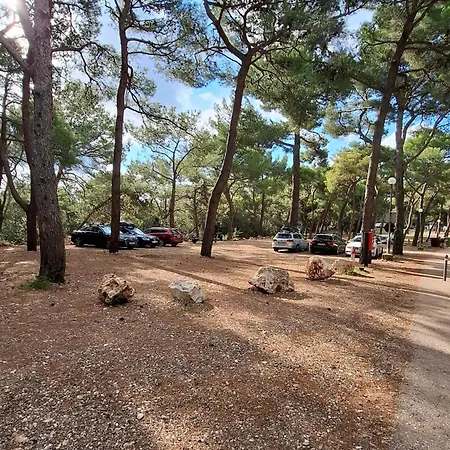 Campingplatz Mobile Homes Pine Sea *