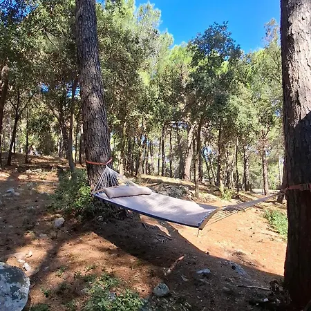 Campingplatz Mobile Homes Pine Sea