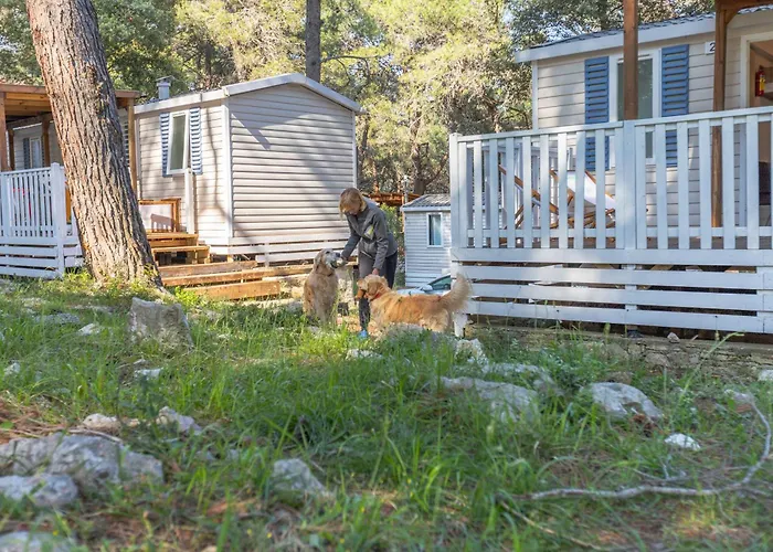 Mobile Homes Pine Sea