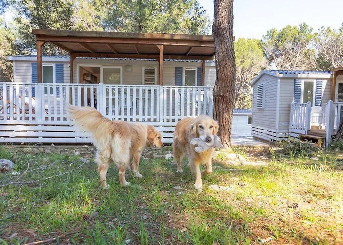 Mobile Homes Pine Sea Campingplads